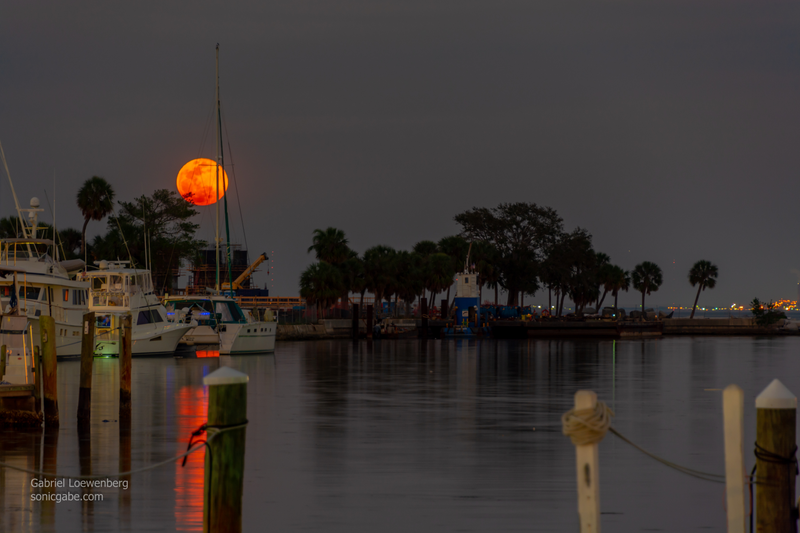 Illustration for article titled Film From The Minolta XG-M Is Back, Plus A Super Moon